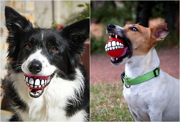 Grinning Dog Gadgets