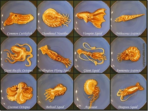 Aquatic Pancake Art