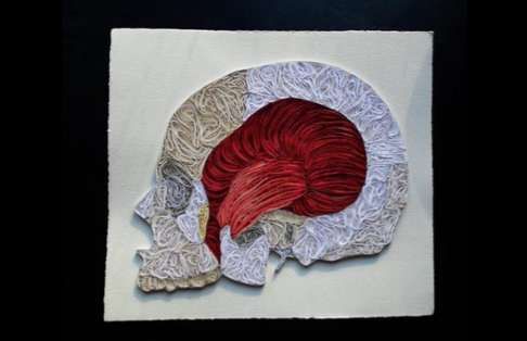 Anatomical Papercrafts