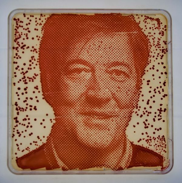 Bacteria-Grown Celebrity Portraits