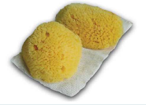 Tampon Sponges