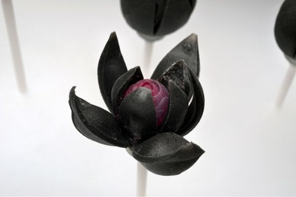 Inflatable 3D-Printed Flowers