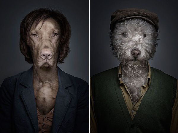 Hybrid Humanalistic Canine Photography