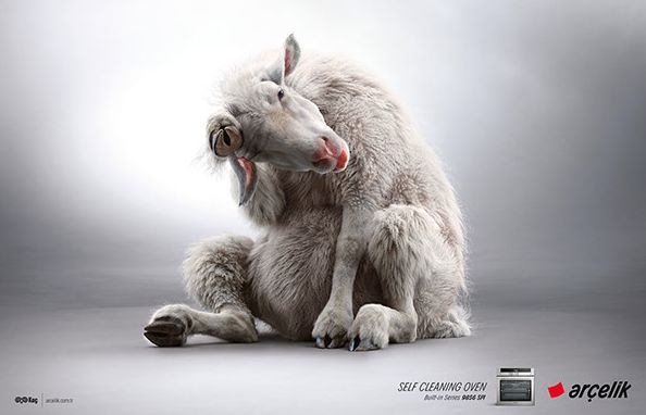 Self-Cleaning Animal Ads