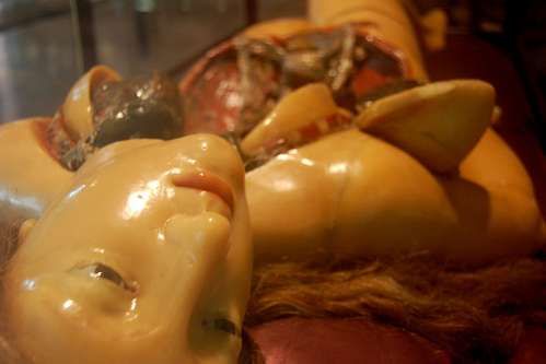 Lifelike Entrails Exhibits