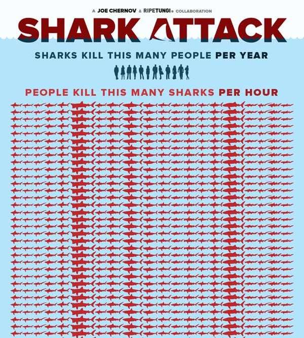 Eye-Opening Shark Inforgraps