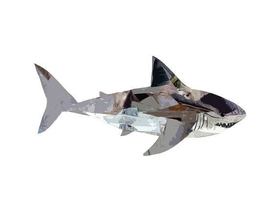Collaged Shark Illustrations