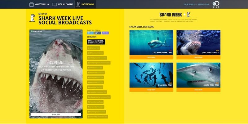 Shark Video Streaming Systems