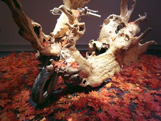 Tree Trunk Cycles