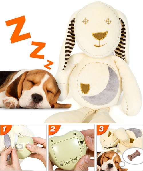 Pet Snooze Companion