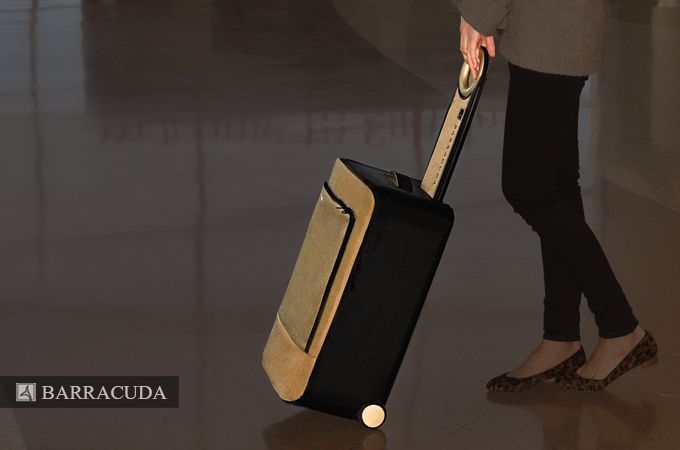 Collapsible Smart Luggage