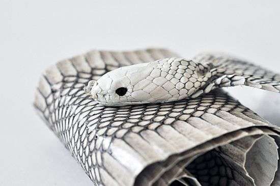 Snakeskin Waistlines