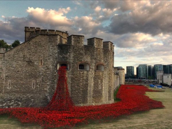 Spewing Poppies Installations