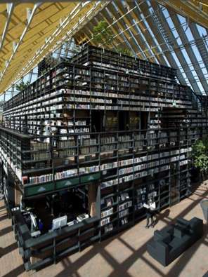 Towering Library Stacks