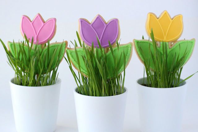 Potted Floral Confections