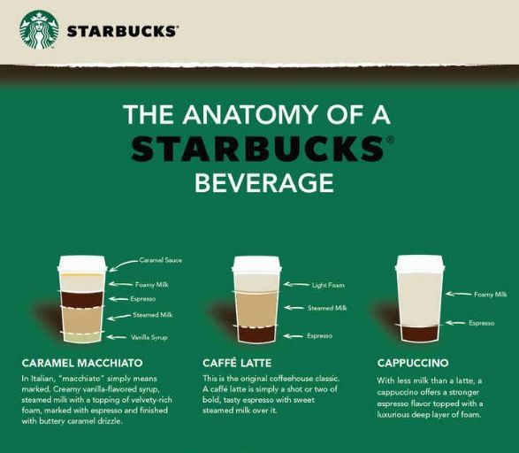 Coffee Chain Drink Dissections