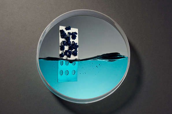 Petri Dish-Like Photography
