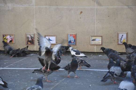 Bird-Centric Art Galleries