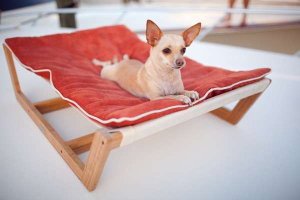 Stylish Summer Dog Beds (UPDATE)