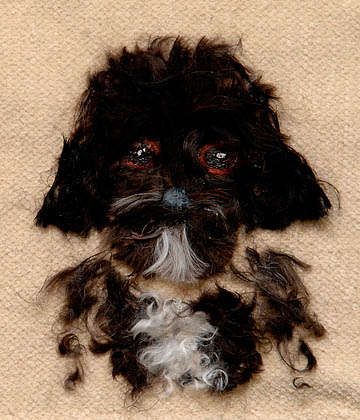 Hairy Pet Depictions