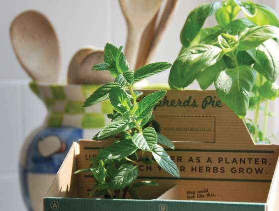 Reusable Package Planters