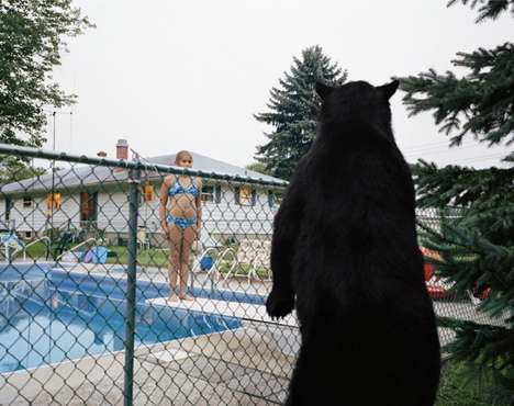 Taxidermy Photography