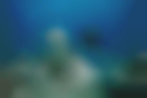 Eerie Underwater Assemblies (UPDATE)