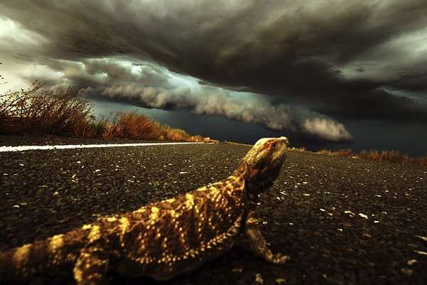 Storm-Chasing Photographers