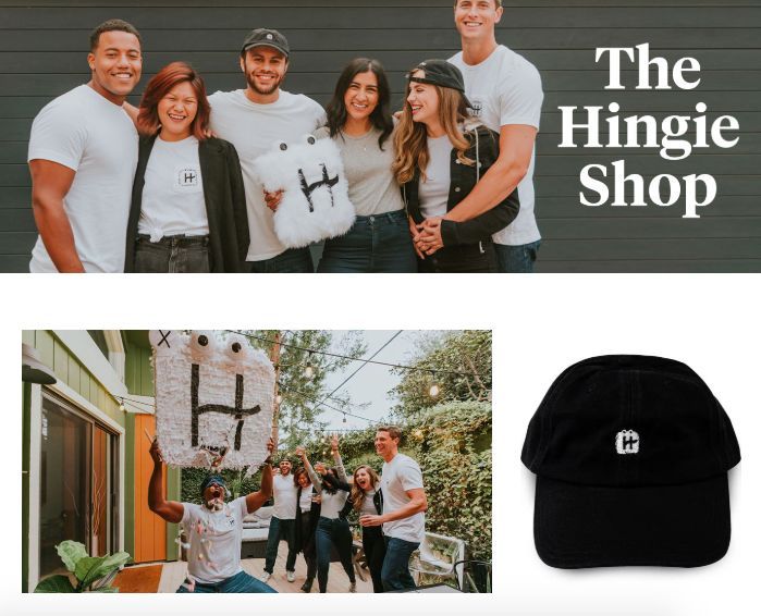 Hinge shop on sale