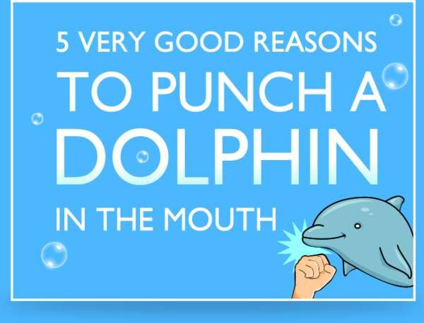 Dolphin-Punching Comics