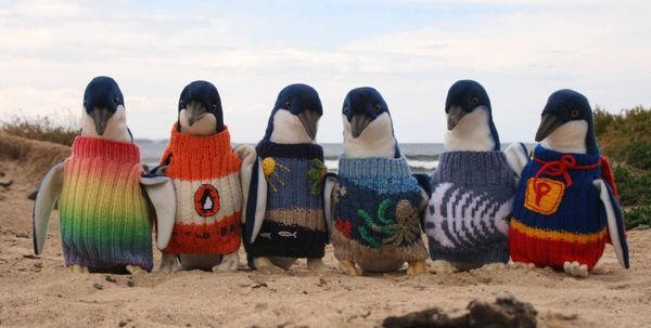 Charitable Penguin Sweaters