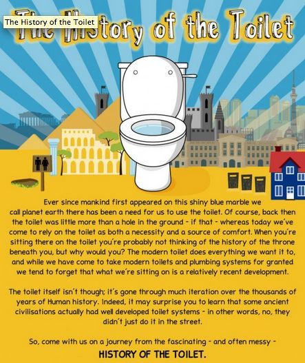 Toilet History Infographics