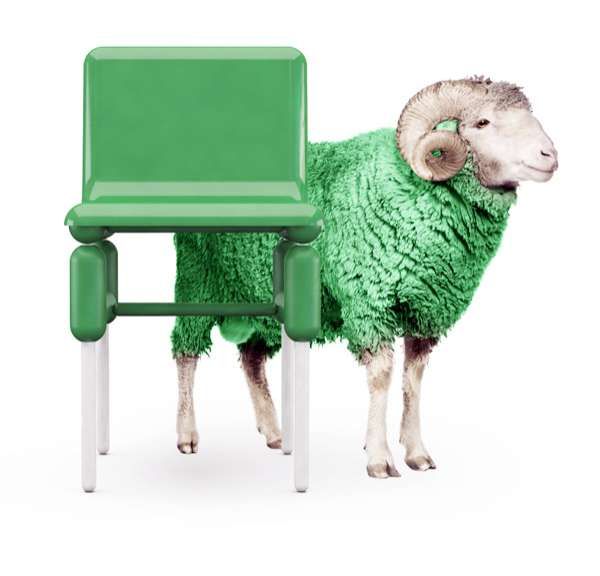 Sheepish Chaise Collections