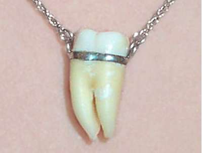 Real Human Tooth Necklace//22 Gold Plated Vintage Chain// 14 Human Teeth  Charms//human Teeth Jewelry//real Tooth Jewelry//human Molar - Etsy India