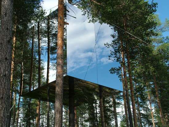 Camouflaged Tree Hotels  