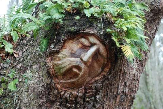 Spiritual Tree Trunk Sculptures