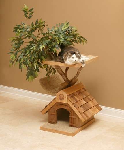 Treehouses for Cats