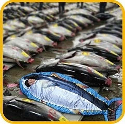 Fishy Sleeping Bags