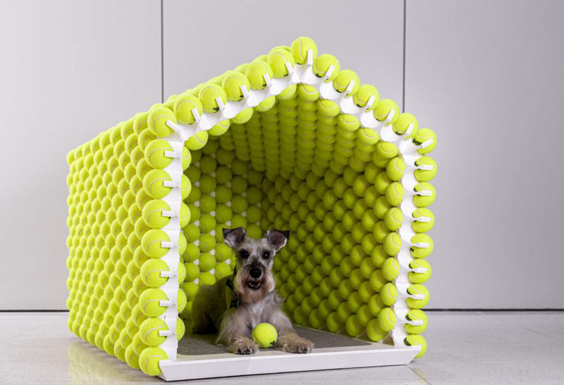unique dog houses