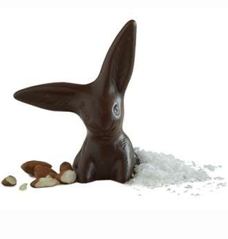 Adorable Chocolate Bunnies