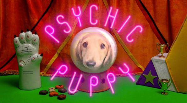 Psychic Soccer Puppies