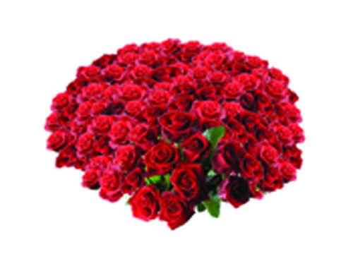 £10,000 Rose Bouquet