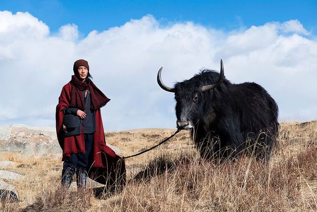 Yak Wool Fashion