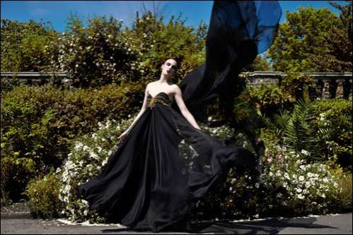 Diaphanous Black Gowns